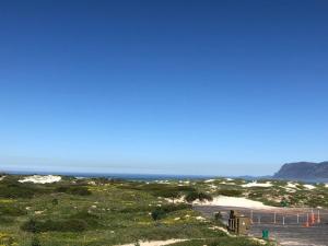 a view of a beach with the ocean in the background at Cape Nomads in Muizenberg +42 photos