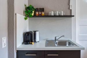 eine Küchentheke mit einer Spüle und einer Kaffeemaschine in der Unterkunft cozy Apartment SOLARIS in Meißen Altstadt Netflix in Meißen