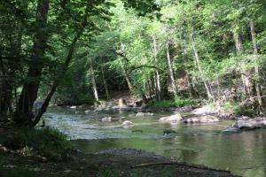 Paesaggio naturale nelle vicinanze della casa vacanze