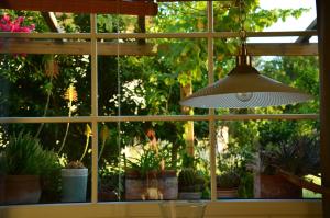 a window with potted plants and a lamp in front of it at Casa Magnolia in Terricciola +90 photos