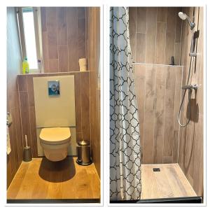 a bathroom with a toilet and a shower at B&B de Danser in Klaaswaal