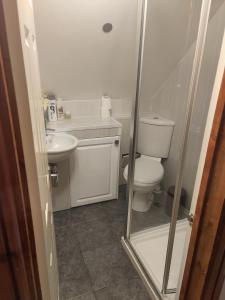 a small bathroom with a toilet and a sink at Pentre Riding Stables in Abercraf