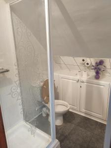 a bathroom with a toilet and a glass shower at Pentre Riding Stables in Abercraf