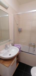 Kúpeľňa v ubytovaní Apartment Jakubská 676