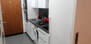 Kuchyňa alebo kuchynka v ubytovaní Apartment Jakubská 676