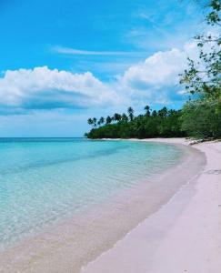 uma praia com água e árvores à distância em Villas at Chalet De Buye em Cabo Rojo