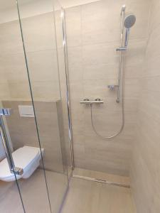 uma cabina de duche com WC na casa de banho em Apartment Ploner em Ainet