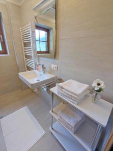 łazienka z umywalką i lustrem w obiekcie Apartment Ploner w mieście Ainet +12 zdjęć