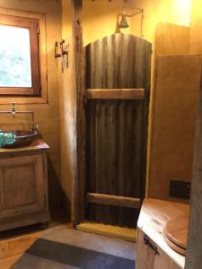 a bathroom with a shower with a wooden door at La Grenouillette in Mirwart