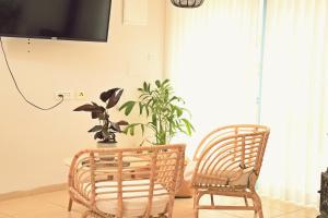 two chairs and a tv in a room with a plant at Nirvana Maayan Baruh in Ma‘yan Barukh