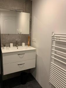 La salle de bains est pourvue d'un lavabo blanc et d'un miroir. dans l'établissement La coccinelle, à Noyarey