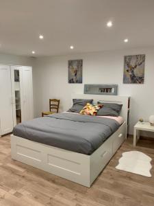 een slaapkamer met een groot bed in een kamer bij La coccinelle in Noyarey