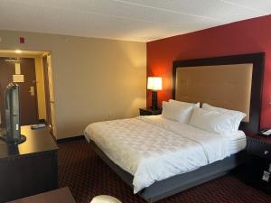 a hotel room with a large bed and a television at Wyndham Garden Dover in Dover