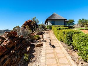 a cat walking down a stone path in front of a house at Rooilande Guest Farm Guest House in Laingsburg