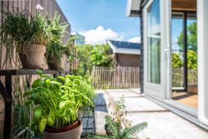 a balcony with potted plants on a house at Gîte81 in Reeuwijk