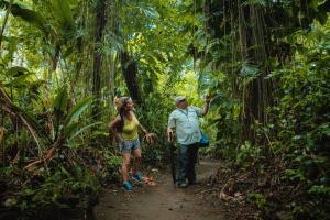 a man and woman walking down a trail in the jungle at Laguna Lodge in Tortuguero