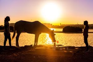 two people and a horse drinking water from a fountain at Pura Eco Retreat, Jubail Island in Abu Dhabi