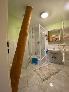 a bathroom with a shower and a sink and a mirror at Landhausidyll Ferienwohnung in Grundshagen
