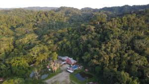an aerial view of a house in the middle of a forest at Grand Selva Lodge & Tours in Tena