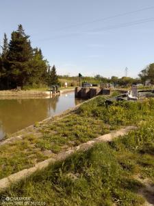 um rio com alguma relva e alguma água em mobil home 001 em Agde