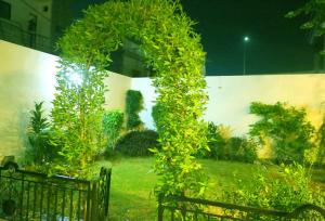 a green plant growing on a pole in a yard at HOTEL DE SMART Multan in Multan