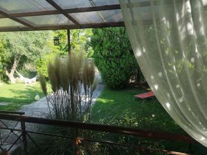 a patio with a plant in the yard at Bamboo gardens in Nea Irakleia
