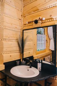 a bathroom with a sink and a mirror at Chabrowa Chatka in Ustroń