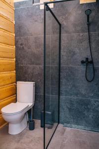 a bathroom with a toilet and a shower at Chabrowa Chatka in Ustroń