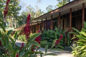 un edificio con flores rojas delante de él en Laguna Lodge en Tortuguero