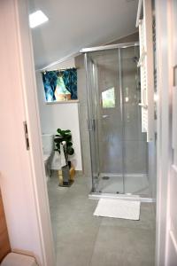 łazienka z prysznicem i szklanymi drzwiami w obiekcie Apartament Tamaryszek w mieście Sandomierz