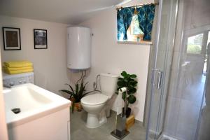 W łazience znajduje się prysznic, toaleta i umywalka. w obiekcie Apartament Tamaryszek w mieście Sandomierz