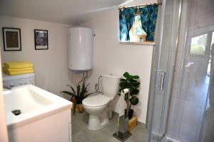 łazienka z prysznicem, toaletą i umywalką w obiekcie Apartament Tamaryszek w mieście Sandomierz +5 zdjęć