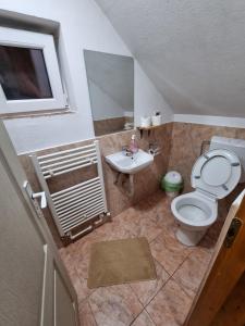 a small bathroom with a toilet and a sink at Kincses Panzió in Praid