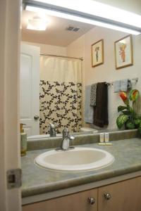 Koupelna v ubytování Best Deal and Epic Location 2bd 2BA Ocean View