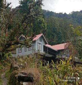 une maison arborée sur le flanc d'une colline dans l'établissement Rinzeebong Homestay by StayApart, à Mangan
