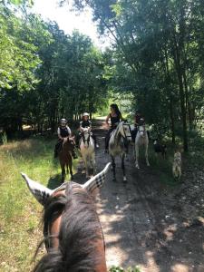 a group of people riding horses on a dirt road at Pirola Music Ranch Guest House B&B in Romano di Lombardia