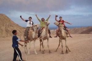 a group of people riding on camels in the desert at Neptune Hotel in Dahab