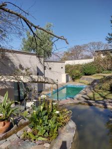 uma piscina num quintal com plantas em CampoMora- 5 min del Centro - CONFORT - Parrilla & Pileta em San Salvador de Jujuy