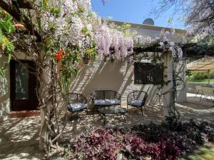 a patio with two chairs and a tree with flowers at CampoMora- 5 min del Centro - CONFORT - Parrilla & Pileta in San Salvador de Jujuy