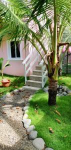 Zahrada ubytování Villa Casa Azul & Arena Blanca Apartamentos