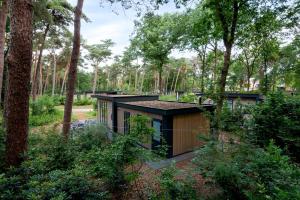 a house in the woods with a roof at Forestlodge in het Vechtdal - 5 persoons in Hardenberg