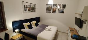 a bedroom with a bed and a television in it at 4 Kąty Koronowo in Koronowo