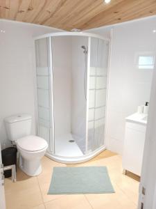 a bathroom with a shower and a toilet and a rug at Enjoy Oporto Campanha 3 in Porto