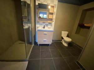 La salle de bains est pourvue d'une douche, d'un lavabo et de toilettes. dans l'établissement Maison indiv au cœur du vignoble champenois, à Lignol-le-Château