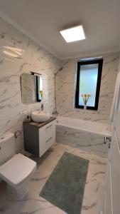 a bathroom with a toilet and a sink and a window at Nathallie Modern Apartments in Timişoara