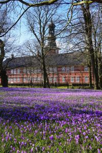 un campo de flores púrpuras frente a un edificio en Ferienhus #1 Nordfriesland, en Mildstedt