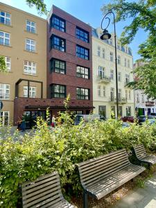 dos bancos de parque frente a un edificio en H11 Aparthotel en Cracovia