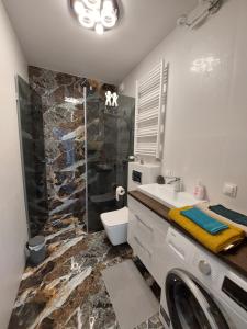 een badkamer met een wastafel, een toilet en een douche bij Kamienica Nova VITORE 116 in Szczecin +14 foto's