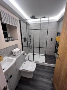 a bathroom with a shower and a toilet and a sink at The Hideaway Thorpe Thewles in Thorpe Thewles