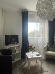 a living room with a tv and a table and a window at Studio 5 Near Basel Airport in Saint-Louis